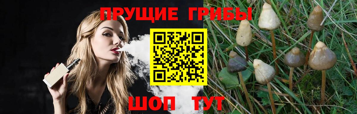 Псилоцибиновые грибы Cubensis Гагарин